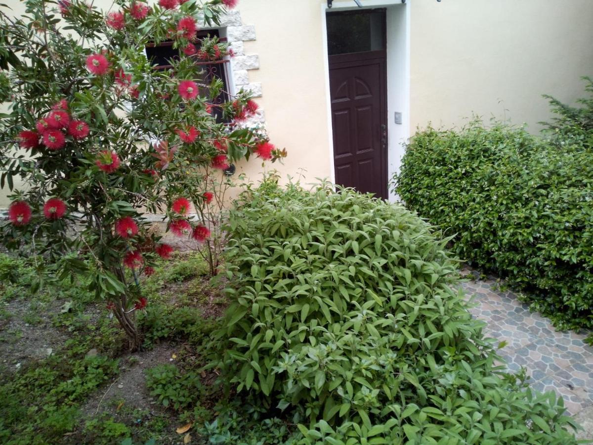 Bolotana B&B Baddesalighes מראה חיצוני תמונה