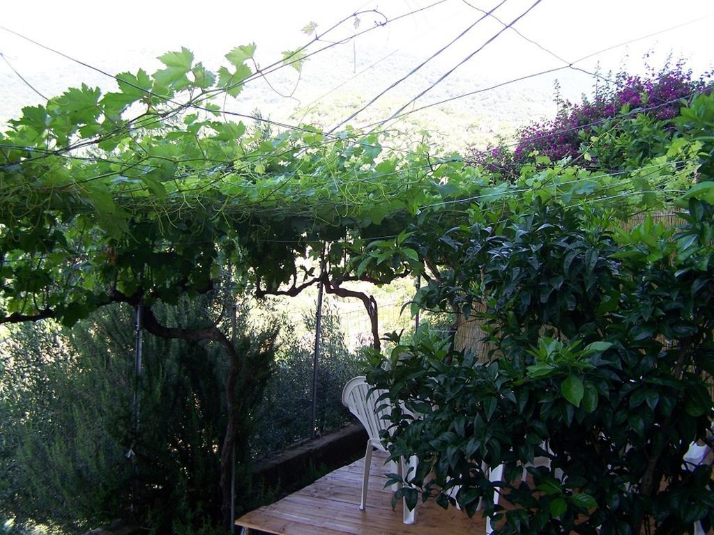 Bolotana B&B Baddesalighes מראה חיצוני תמונה