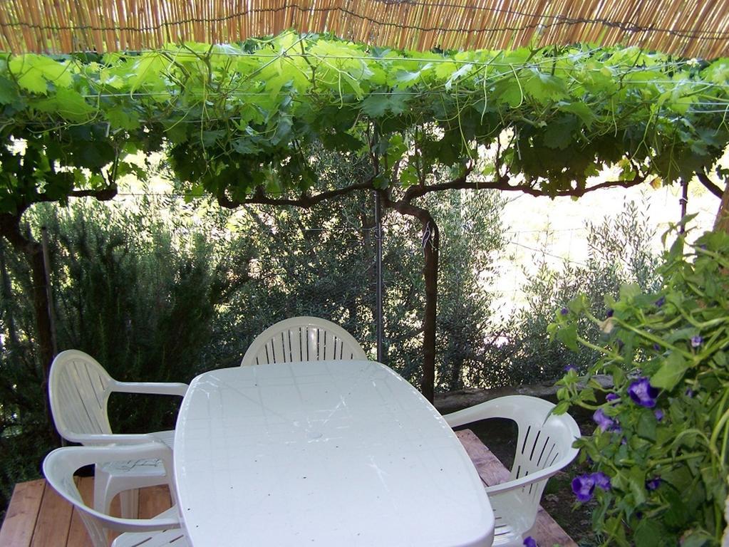 Bolotana B&B Baddesalighes מראה חיצוני תמונה