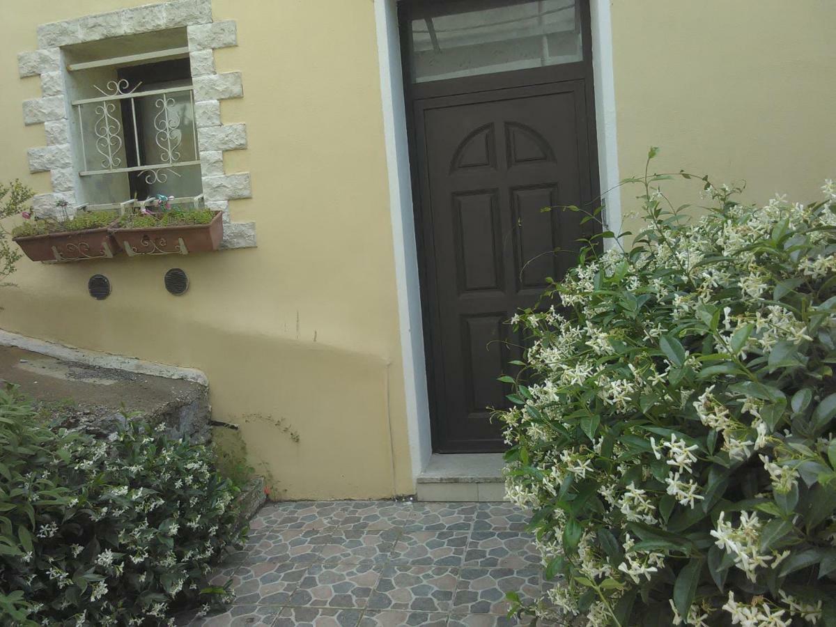 Bolotana B&B Baddesalighes מראה חיצוני תמונה